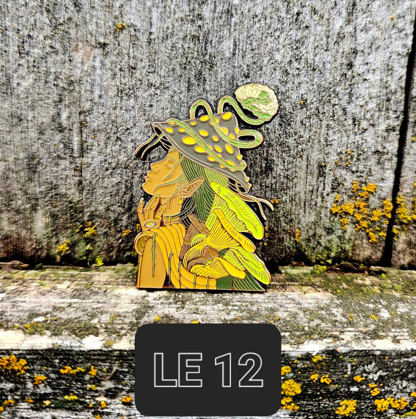 Expanding Consciousness - LE 12