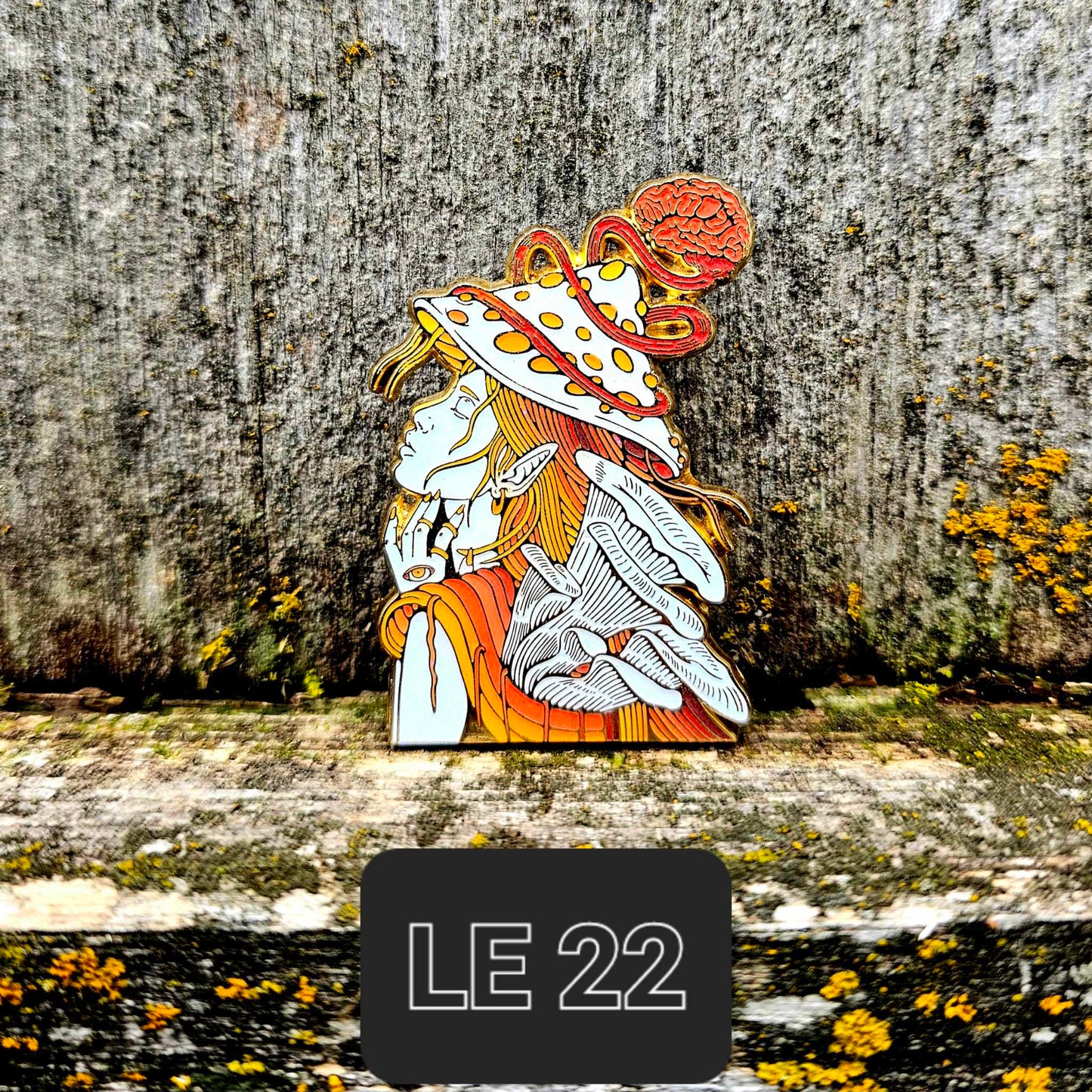 Expanding Consciousness - LE 22