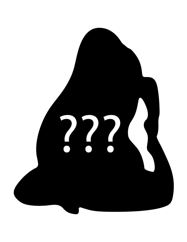 King Pigeon Pose - Blind Bag