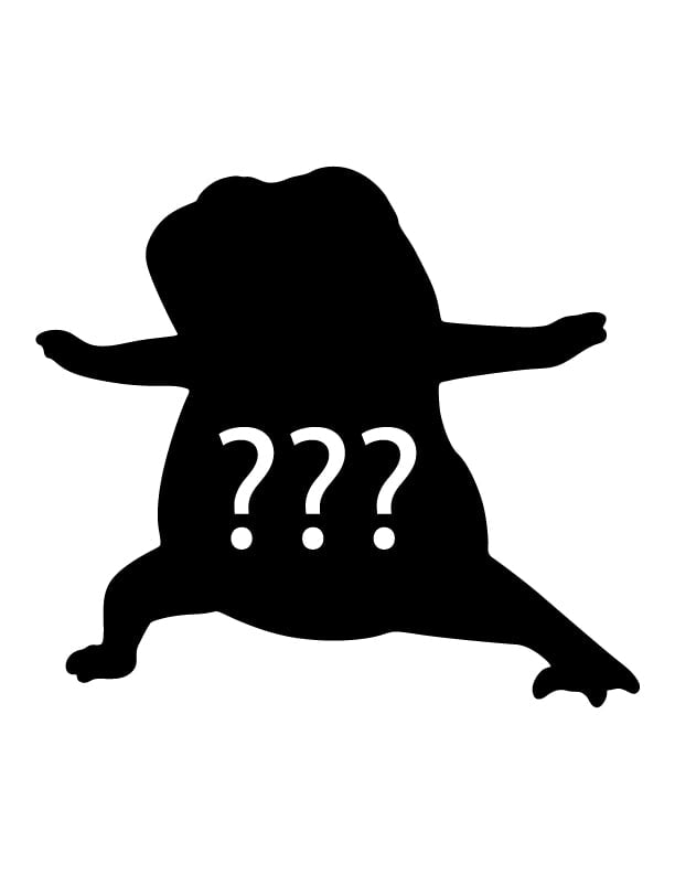 Virabhadrasana 2 (Warrior 2 Pose) - Blind Bag