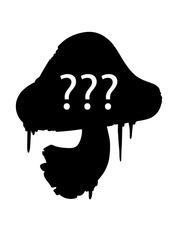Mini 'drip' Mushroom Blind Bag