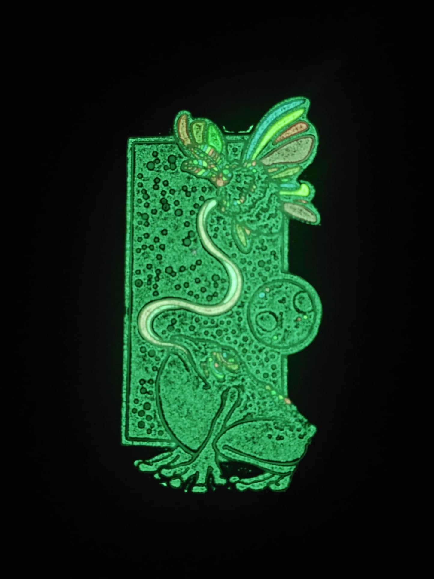 Frog & The Moth - LE35