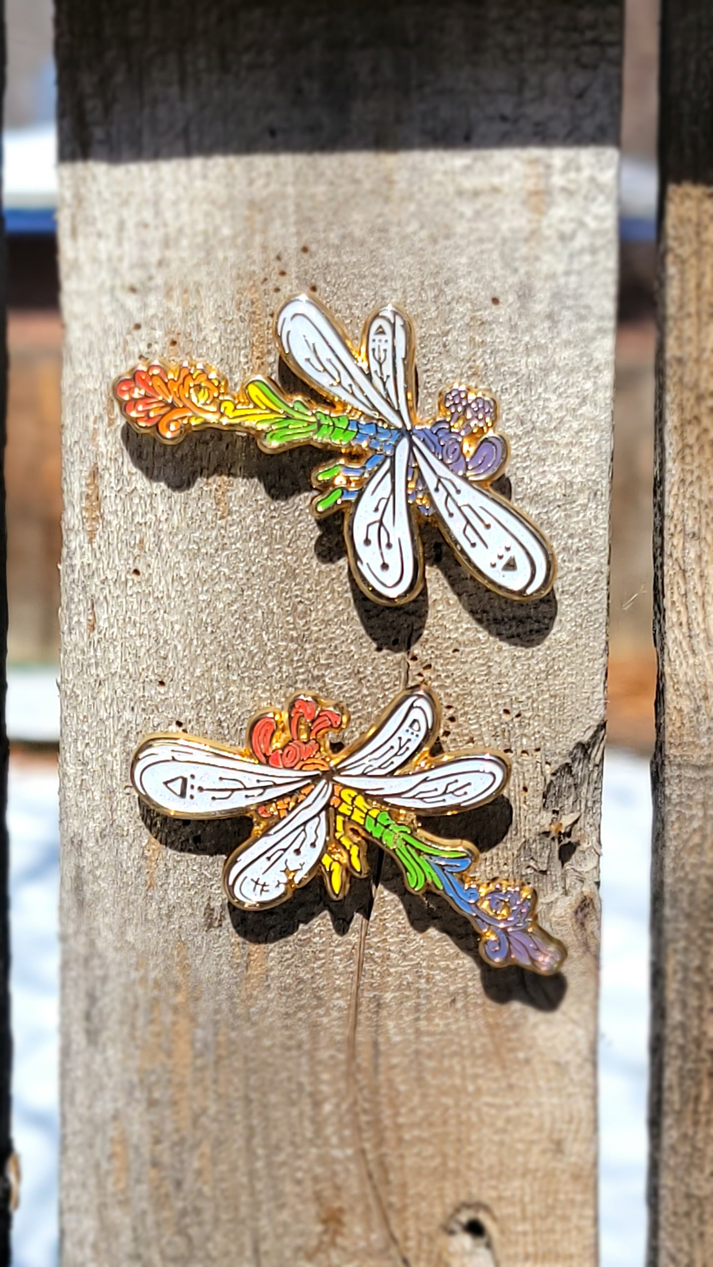 Dragon Fly set & Kitty