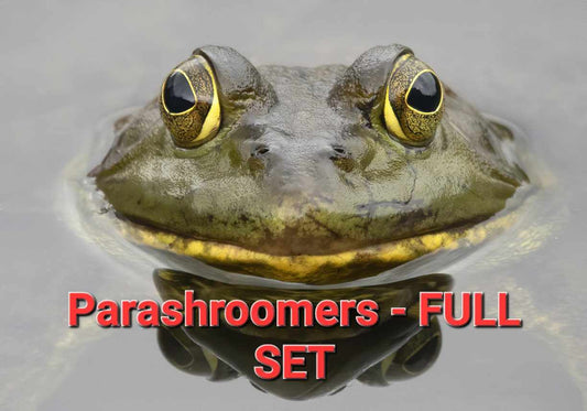 The Parashroomers - Full set
