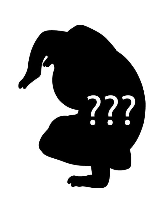 Yoga Frog - Vrischikasana - Scorpion Pose (Blind Bag)